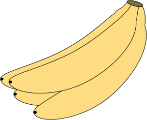 Banana_Bunch