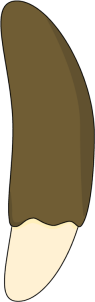 _Chocolate_Covered_Banana