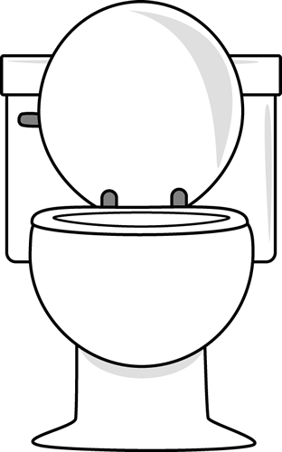 White_Toilet_with_Lid_Up