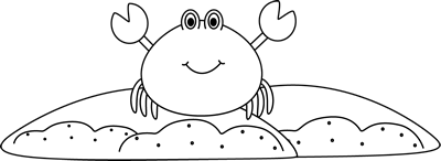 Black_and_White_Sand_Crab