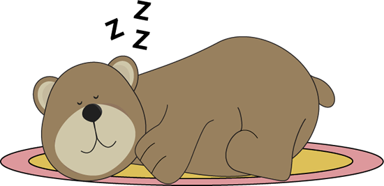 Bear_Sleeping_on_a_Rug