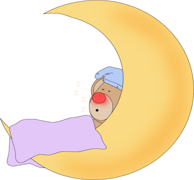 _Bear_Sleeping