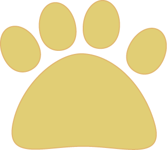 Yellow_Cat_Paw