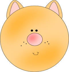 Yellow_Cat