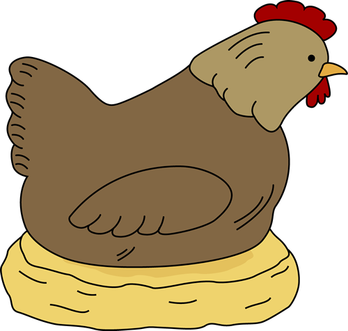 _Hen_Sitting_on_Empty_Nest