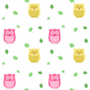 Cute_Owl