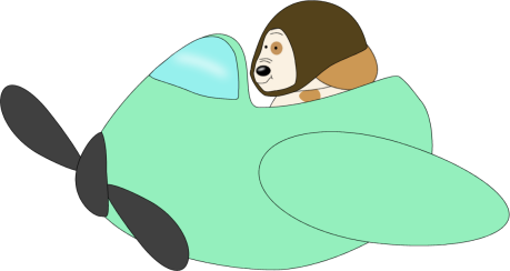 Dog_Flying_in_Airplane