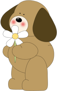 Cute_Dog