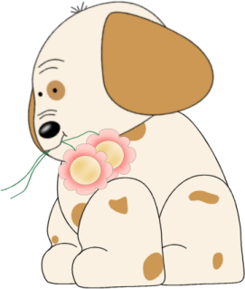 Baby_Puppy