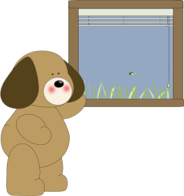 Dog_Looking_Out_Window
