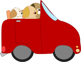 Dogs_Driving_a_Car