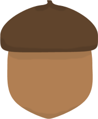 بلوط