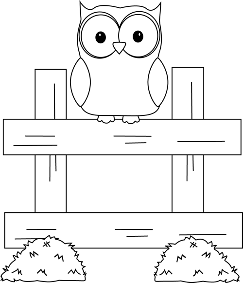Black_and_White_Farm_Owl