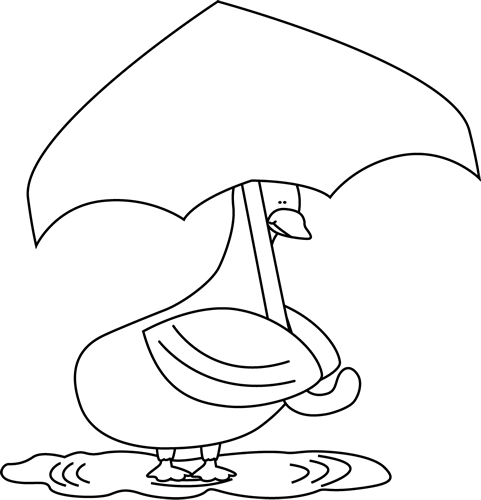 Black_and_White_Duck_Under_an_Umbrella